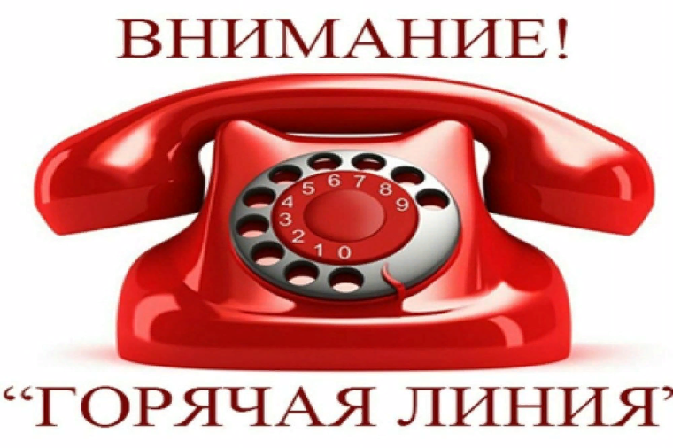 Тематическое консультирование граждан. Тематическое консультирование граждан.