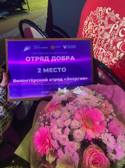Волонтерский отряд «Энергия» МБОУ «Большеигнатовская СОШ» занял 2 место  в Республиканском конкурсе «Отряд Добра».
